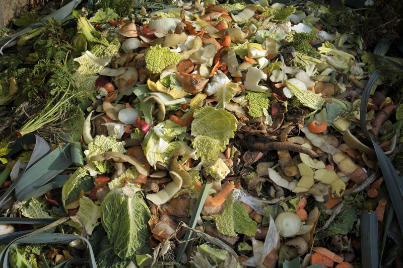 Managing Refuse Through the Lens of History